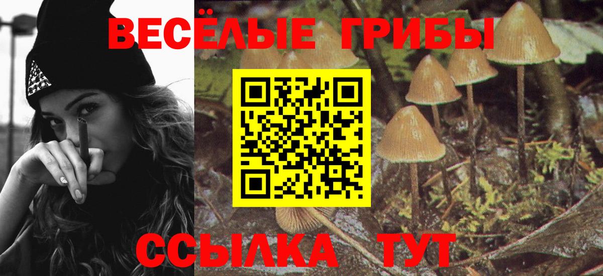 Псилоцибиновые грибы Psilocybe  Псилоцибиновые грибы мухоморы  Вход с VPN  Новодвинск 