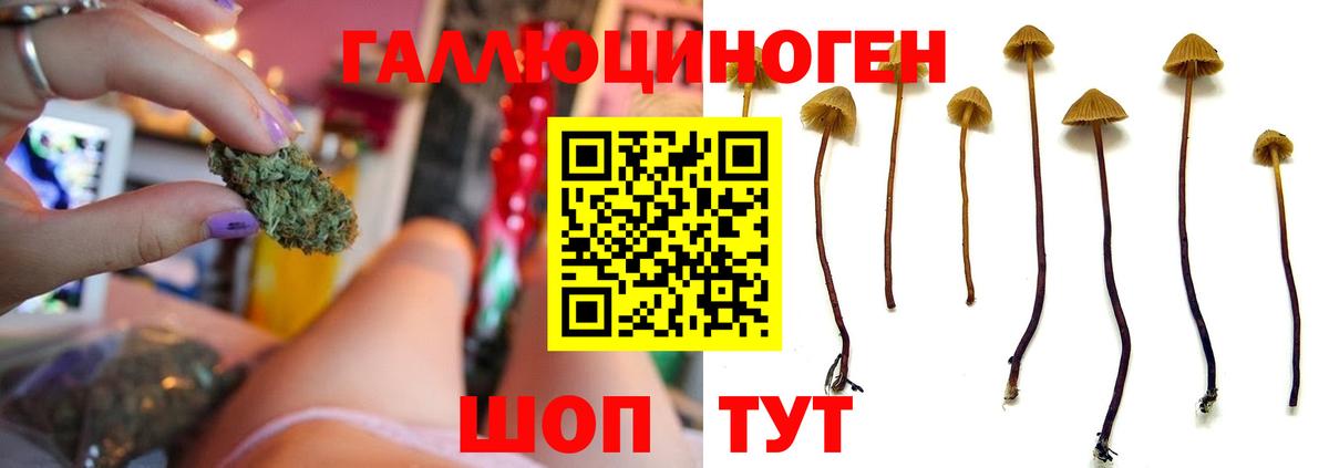 Псилоцибиновые грибы MAGIC MUSHROOMS Новодвинск